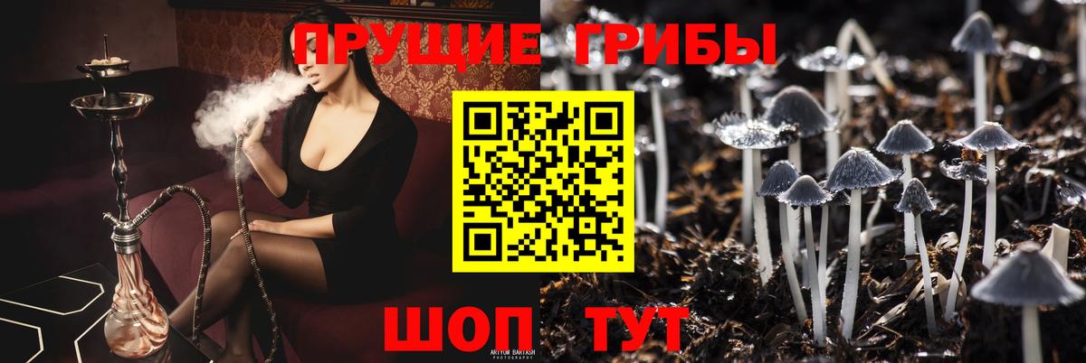 Галлюциногенные грибы MAGIC MUSHROOMS Сызрань